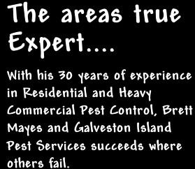 Brief DFescription of Galveston Island Pest Control